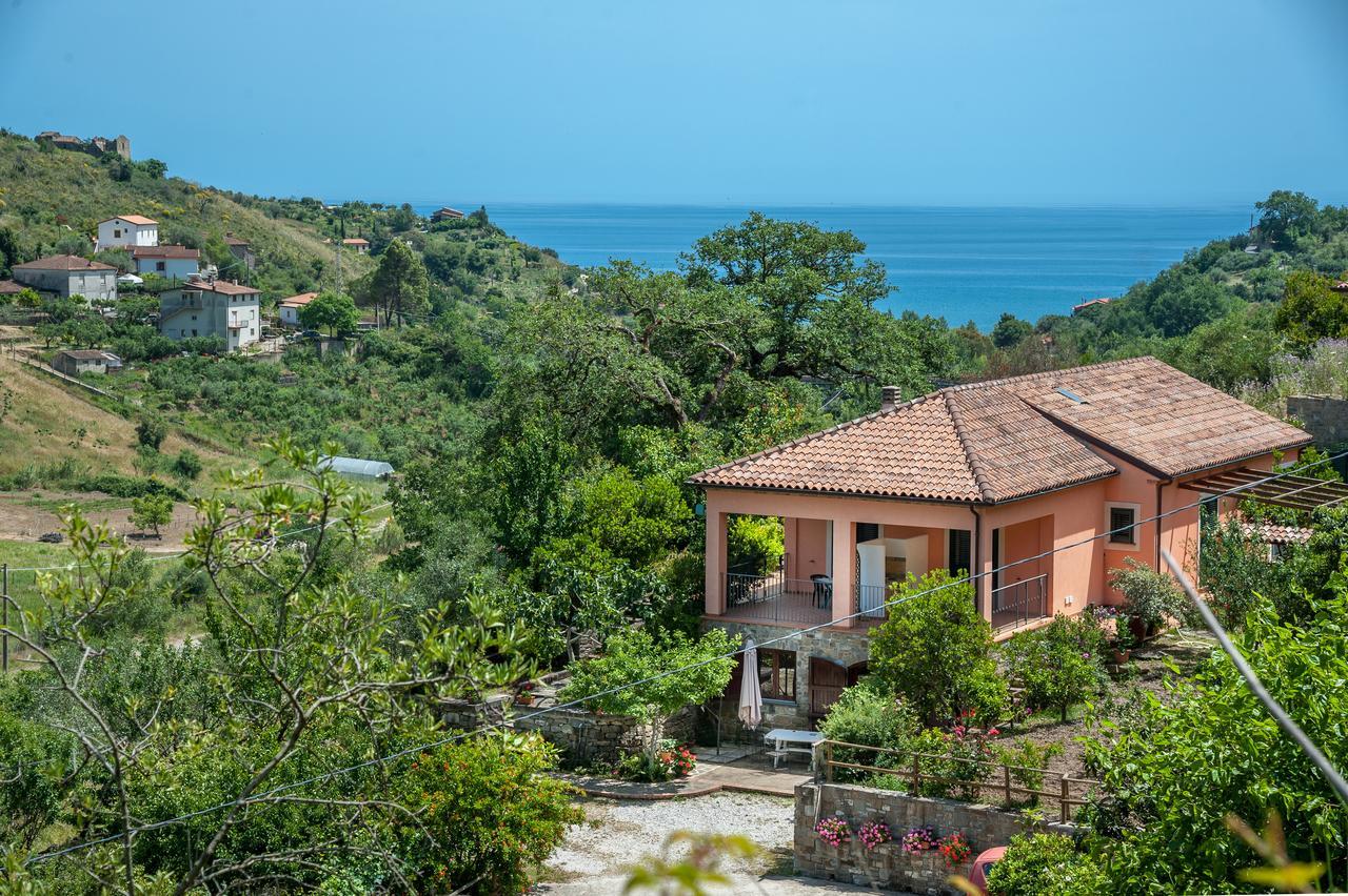 Bed and Breakfast Il Melograno Pollica Exteriér fotografie